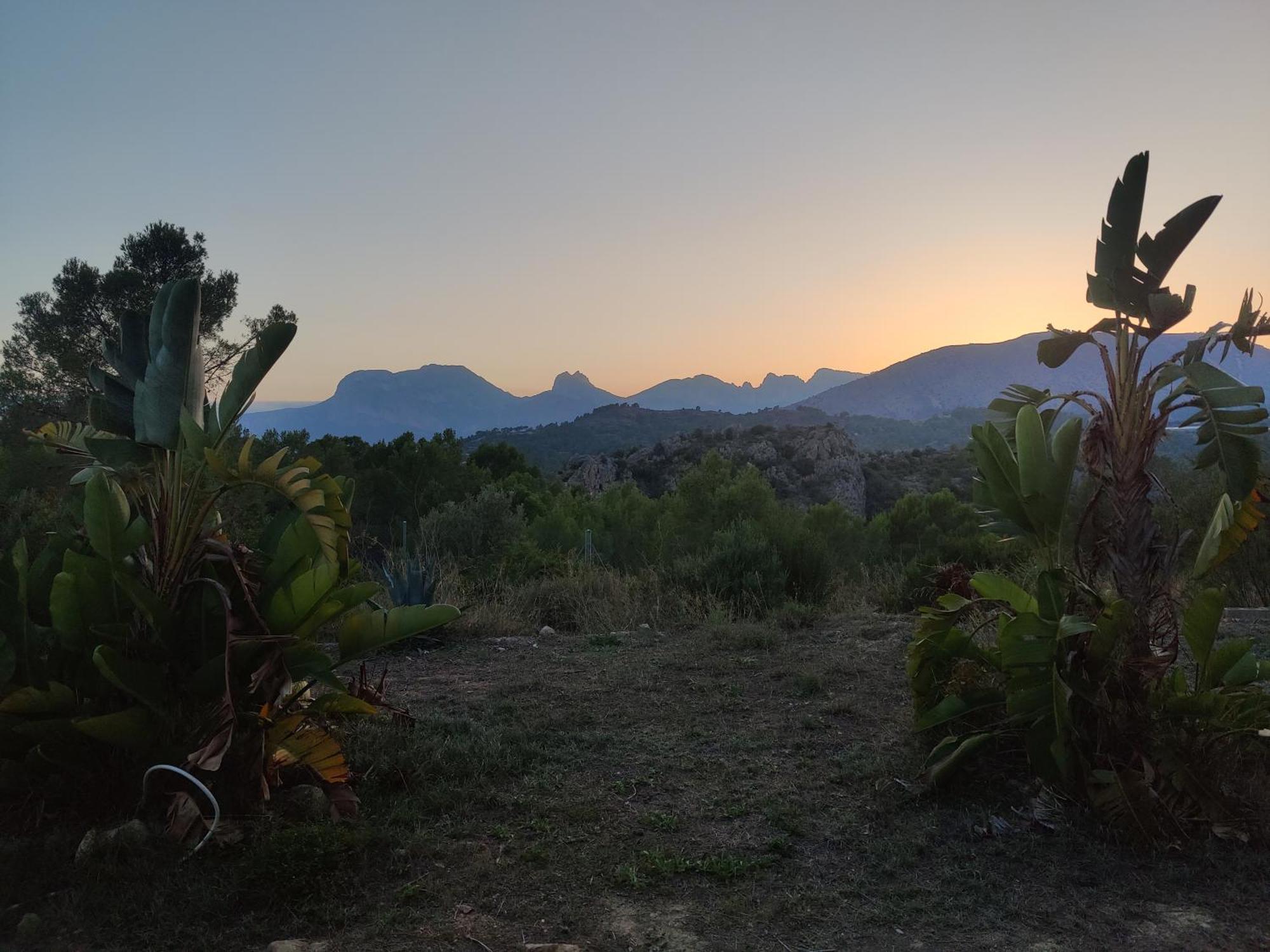 Finca Caracol Bolulla Exteriér fotografie